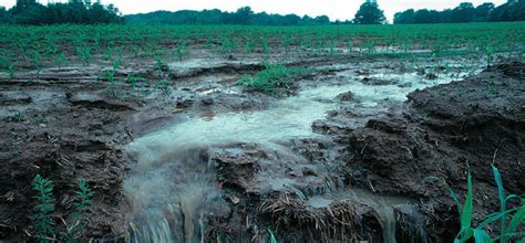 Agriculture- The Major contributor to Water Pollution?