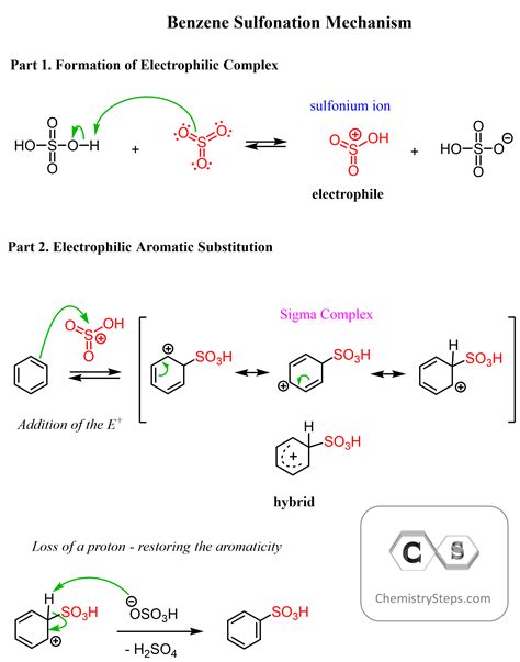 Sulfonation of Benzene - Chemistry Steps