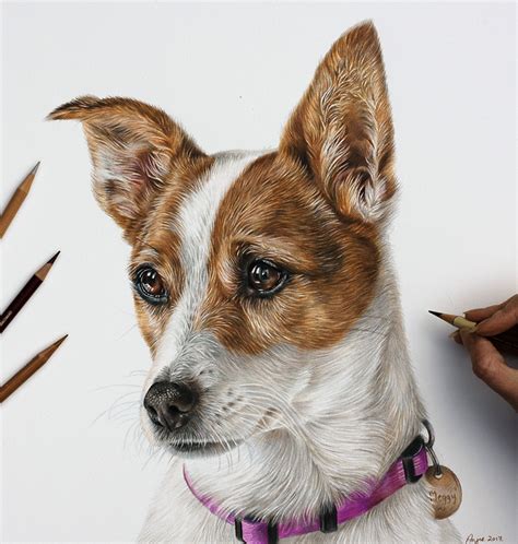 Dog Pencil Portraits Gallery - Commission Your Own Here