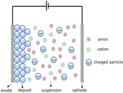 Electrophoretic deposition process schematic illustration [159] | Download Scientific Diagram