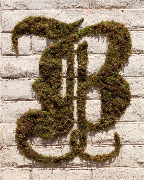 moss graffiti - What's up? I'm Sara.