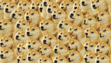 1336x768 Doge Meme Laptop HD ,HD 4k Wallpapers,Images,Backgrounds ...