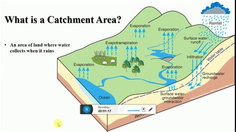 Catchment Area