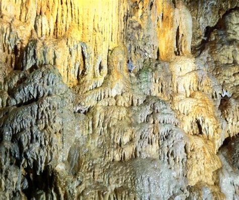 Ultimate Guide to Lost River Caverns, Pennsylvania (Tours, Pricing, History, Map) - World of Caves