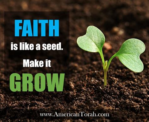 Faith Is Like a Seed. Make It Grow. - American Torah