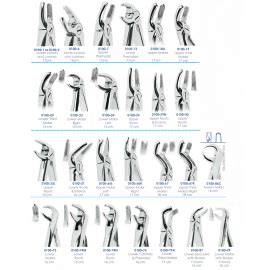 ASA Dental Extracting Forceps (1pcs)