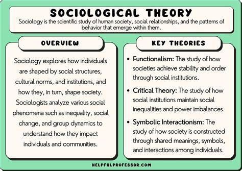 25 Famous Sociology Theories: Examples and Applications (2024)