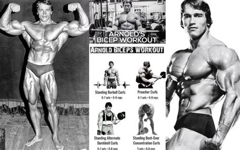 Arnold Bicep Workout: The Ultimate Guide to Making Your Biceps Perfect ...