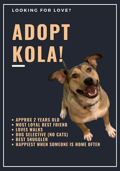 Adopt | KCS Animal Rescue