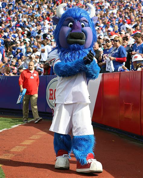 Ranking the NFL's Mascots - Sports Illustrated