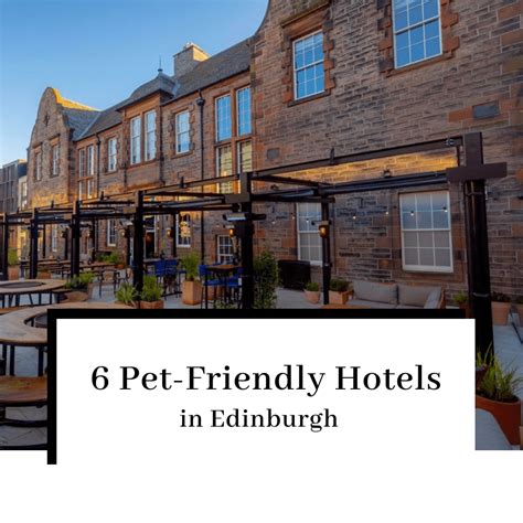 6 Dog-Friendly Hotels in Edinburgh Your Pooch Will Love! - Voyaging ...