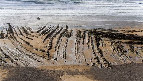 Types of Geological Folds With Photos - Geology In