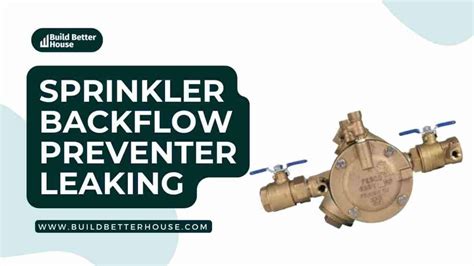 Sprinkler Backflow Preventer Leaking: How To Fix? - Build Better House