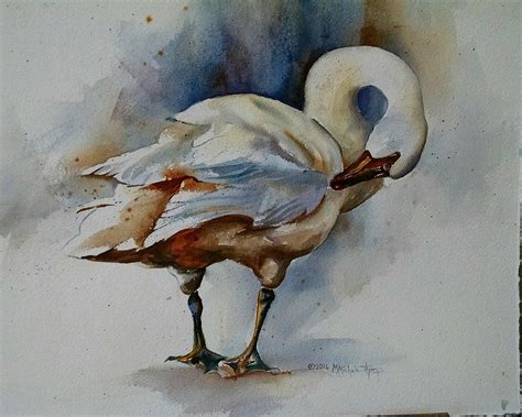 Swan Fluffing Feathers Painting by Michele Thorp - Fine Art America