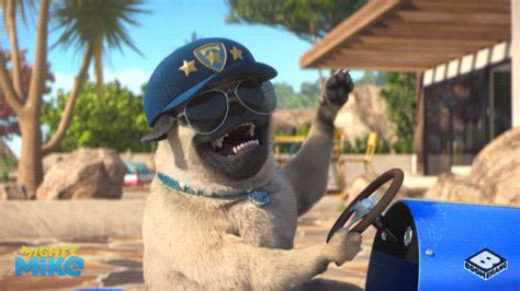 Happy Pug GIF by Boomerang Official - Find & Share on GIPHY