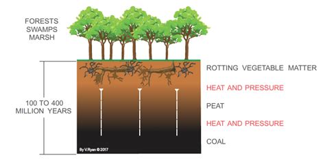 FOSSIL FUELS - COAL