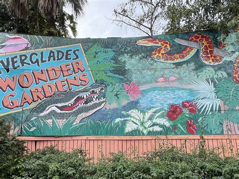 The Whimsical Florida Roadside Attraction Where You Can Hand-Feed ...