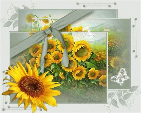 Photo: yellow sunflowers framedBNT | Assorted 2 album | Jossie | Fotki.com, photo and video ...