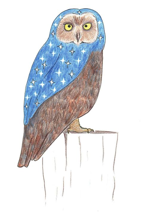 Night owl | Owl, Art, Artwork