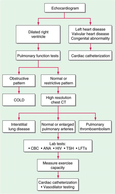 Pulmonary Hypertension | Thoracic Key