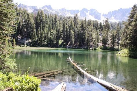 COLDWATER CAMPGROUND: Reviews (Mammoth Lakes, CA) - Photos of Campground - Tripadvisor