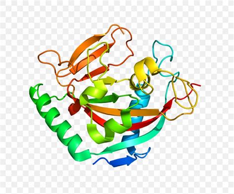 Protein Structure Cartoon