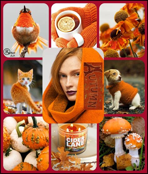 ''Autumn Orange'' by Reyhan S.D. | Color collage, Autumn inspiration, Fall colors