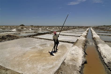 Thoothukudi Port: All you need to know about VOC port and Pearl fishery