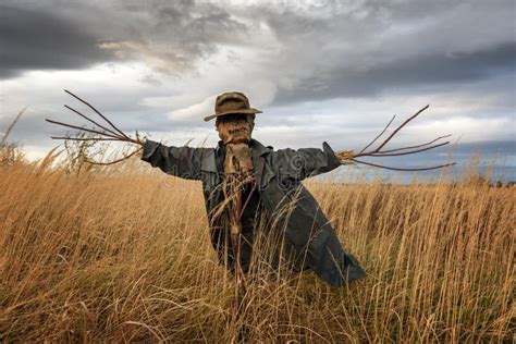 The Scarecrow in the Wheat Field Stock Photo - Image of night, nature ...