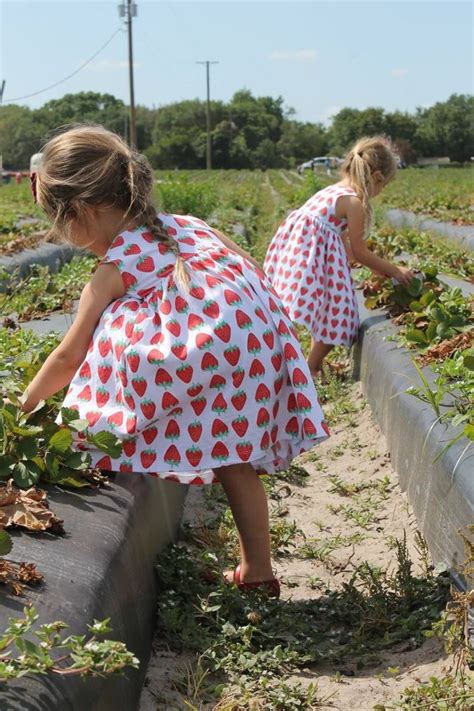 Strawberry Dress strawberry picking outfit summer berry | Etsy