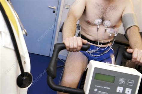 Heart fitness test - Stock Image - M872/0498 - Science Photo Library