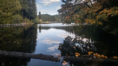 Lake Sylvia State Park starting to show some fall colors. | State parks, Fall colors, Lake