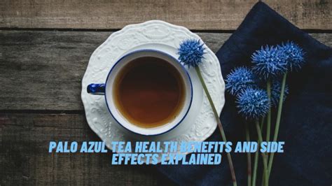 Insights from an Expert: Health Benefits and Side Effects of Palo Azul ...