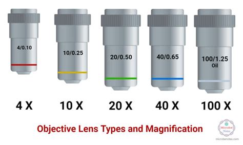 Objective Lenses: Types, Parts, Magnification, Uses, Care