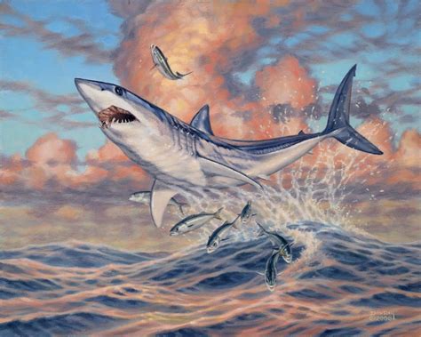 mako shark bluefish art Don Ray marine fishing artist | Shark painting, Shark art, Fish art