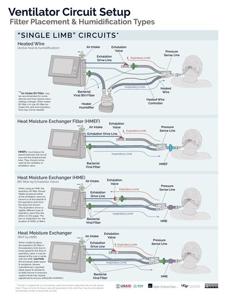 Where should bacterial/viral filters be placed in the ventilator ...