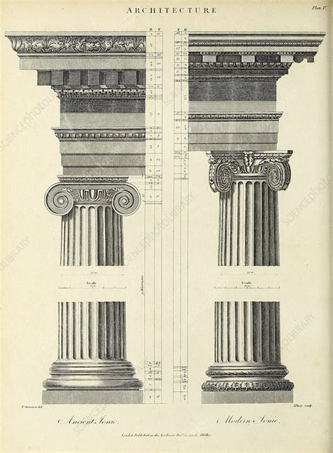 Ionic orders, 19th century illustration - Stock Image - F034/2876 - Science Photo Library