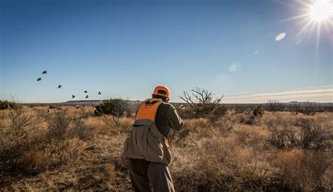 Episode 17 - Our Quail Hunting Forecast - Rolling Plains Quail Research ...