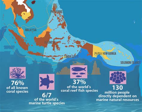 Coral Reefs – BuddingGeographers