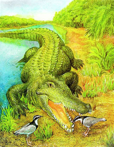 Crocodile Painting by Natalie Berman - Fine Art America