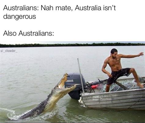 Australia is safe and other hilarious jokes : r/memes