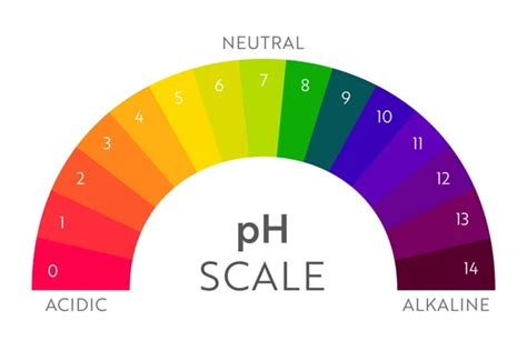 100,000 Ph scale Vector Images | Depositphotos