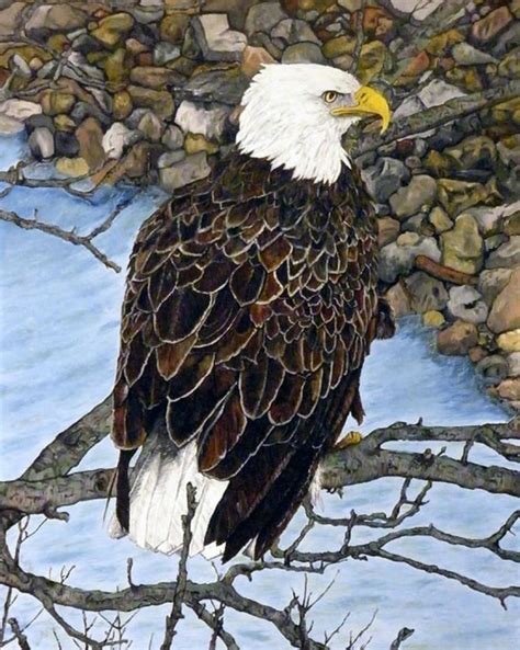 Original oil painting of a Bald Eagle perched above by ManemannArt