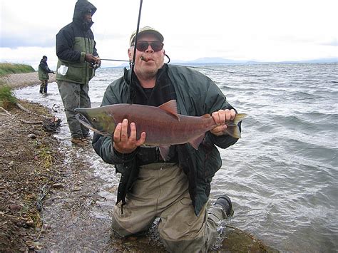 Sockeye & Red Salmon Fishing in Alaska | Sockeye Salmon Kenai River