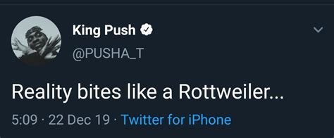 "Reality bites like a Rottweiler..." : r/KingPush