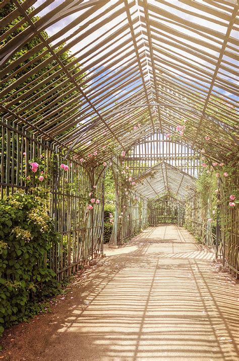 Versailles. Petit Trianon Gardens #7. Pink toned Photograph by Jane ...