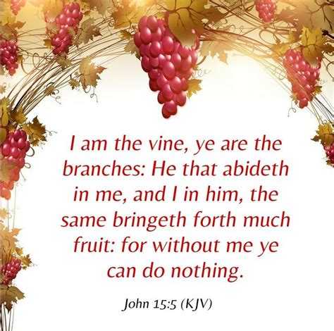 John 15:5 (KJV) | Bible verses for teens, John 15 5, Favorite bible verses