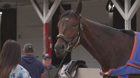 Who is the favorite to win the Kentucky Derby? See latest odds | whas11.com