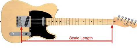 How Long is Your Neck? | OSIRIS GUITAR