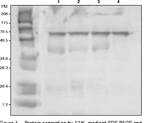 Allergy to asticot maggots. Identification of allergens. | Semantic Scholar